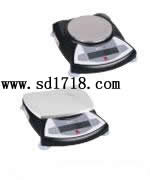 丹東便攜式天平,200g,0.01g